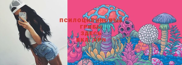 кокс Баксан