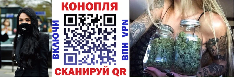 Конопля MAZAR  купить   Магас 